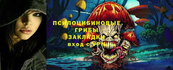 амф Верхний Тагил
