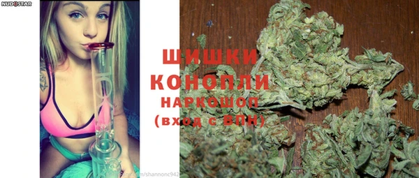 амф Верхний Тагил
