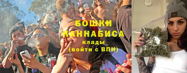 амф Верхний Тагил