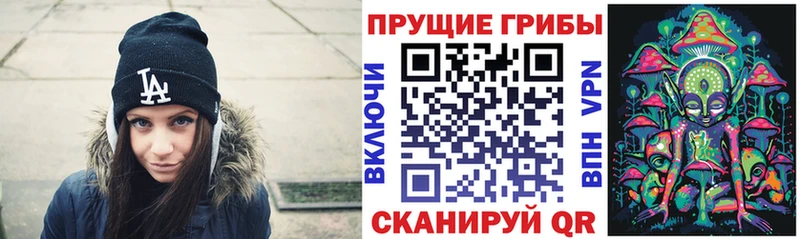 Псилоцибиновые грибы мицелий  Купить закладки  Отрадный 